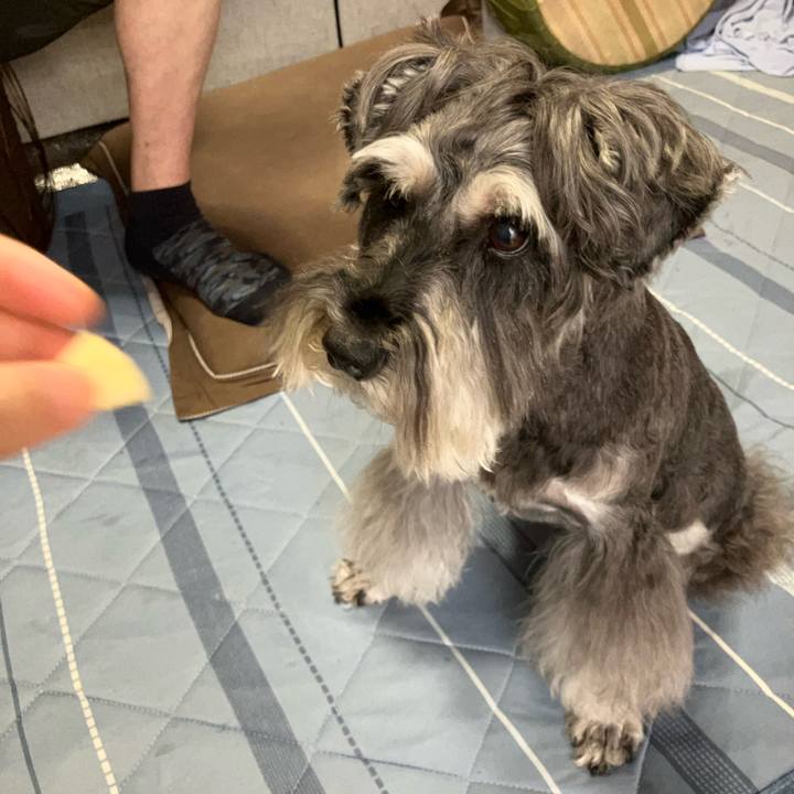 E1b3d3e8 b0c8 4d7a 85ef 751f1b83a4c3 1723960777656