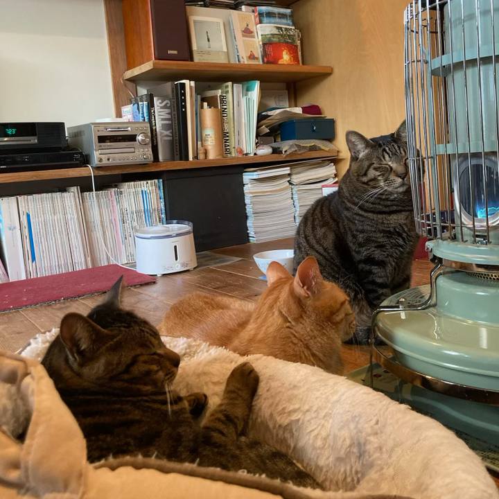 E1b3e982 e240 400e 9169 40aeeb0e5b15 1767260547105