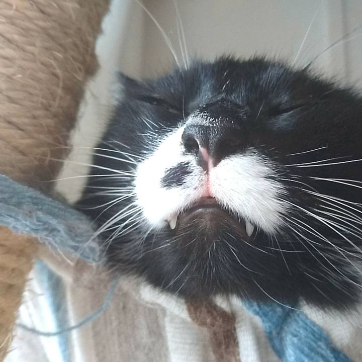 E1b3f1c1 0f15 4002 ac18 ca08ea6a7051 1527548021202