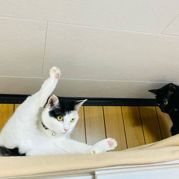 E1b40fd6 95c7 45da b9c4 2fc6b286e19f 1665695386549