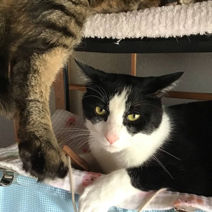 E1b41ad2 cf72 441c a325 4527024d2eac 1687760164259