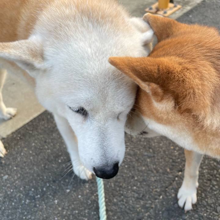 E1b424f7 37b4 4f83 abe7 e39fad245ab2 1664617107979