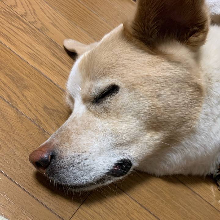 E1b42809 270a 42b9 ac41 247f5fd25b71 1589901706720