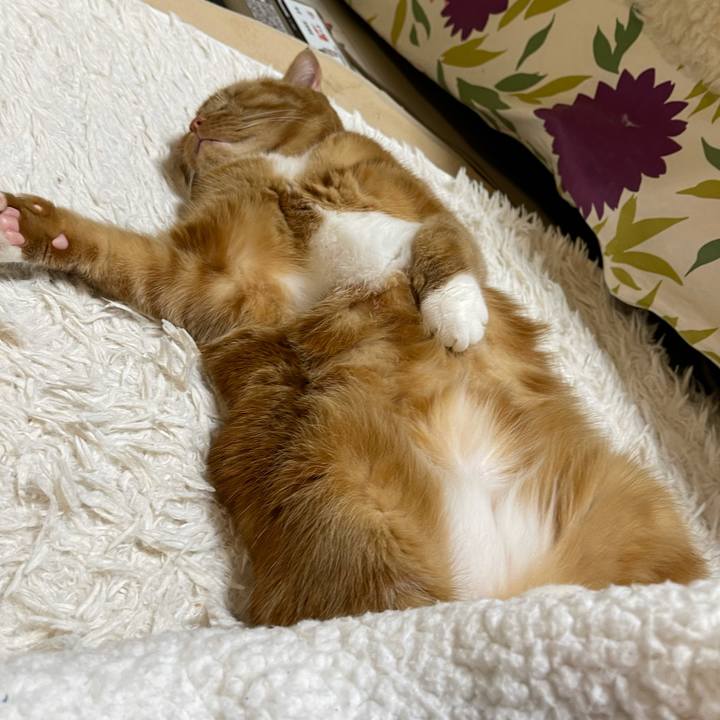 E1b4285a 7f66 47a2 bbff 0f6508f4b37f 1645282504369