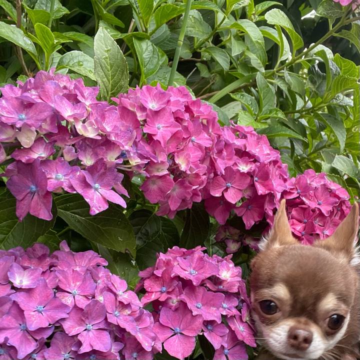 E1b43fbb 926b 451f 92e3 415445e08673 1655010570149