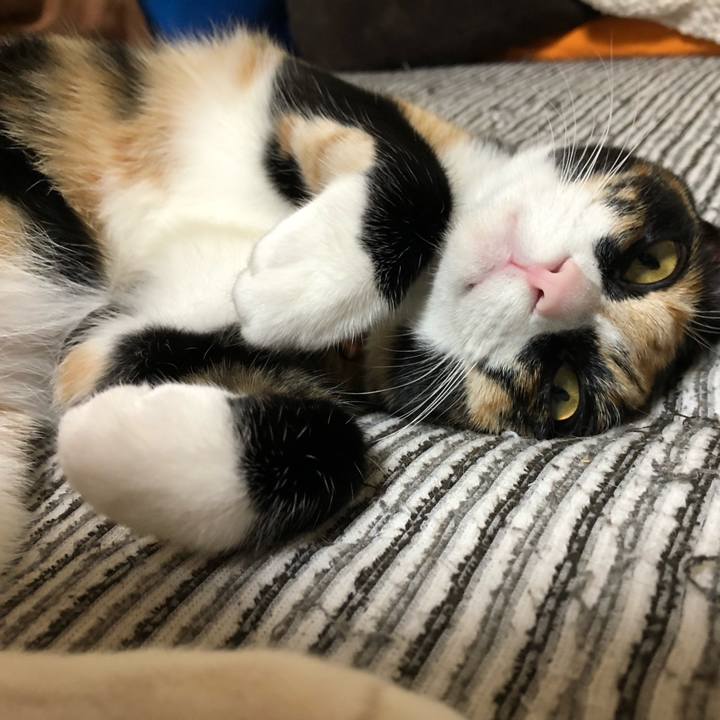 E1b464f1 b35c 4303 b428 1d0ecefe0de0 1571997863876