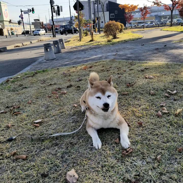 E1b4c34e 19d8 4a40 8336 5bbb767e6765 1636264462464