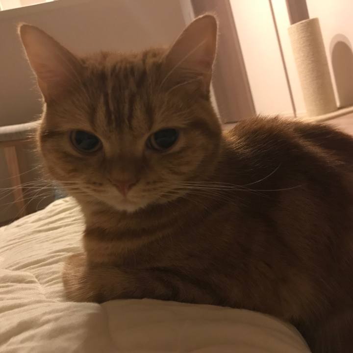 E1b4c5ae 020d 4c26 901c 5c589c0e20a2 1508795613994