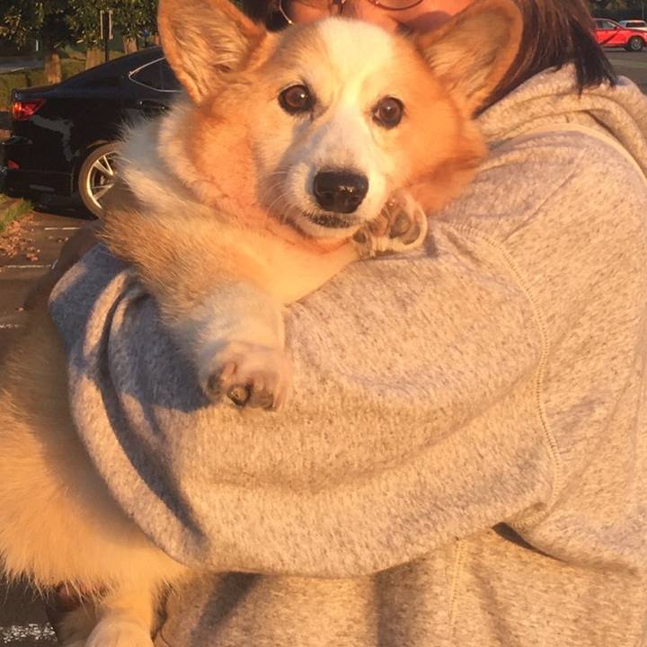 E1b4ee6f 0ad7 4742 b6bc 3c7dcbfeac1a 1573292649781