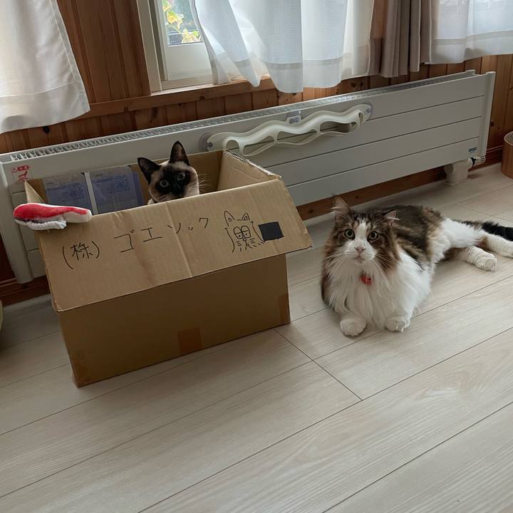 E1b51961 73bd 4809 baa3 979d7af2b92a 1727471493726