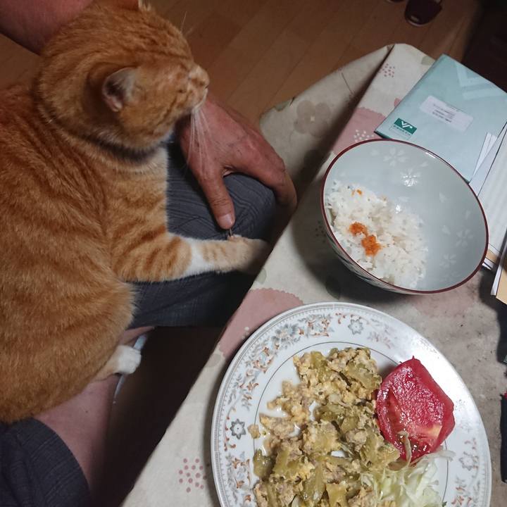 E1b51e73 fbe5 4b1e 86fd 6172dd30ba46 1597752226650