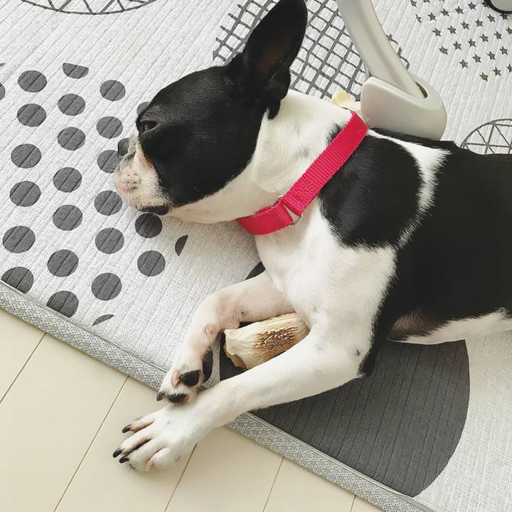 E1b52df6 d749 4f3e 9526 3573f493bcab 1524955318227