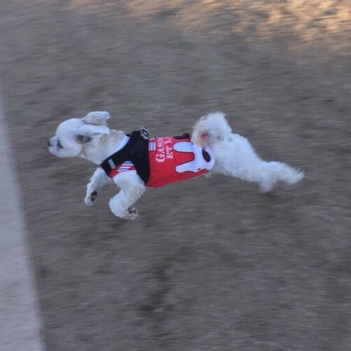 E1b54add 68d5 4775 9e6f d450df381fb6 1560935519261