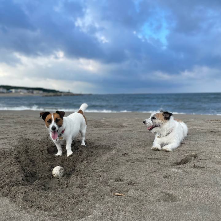 E1b54eca 93be 4b4d afb5 650eee289dfa 1758068095682