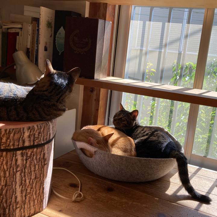 E1b5760f e736 4eae 8be4 468d7549944e 1697951211826