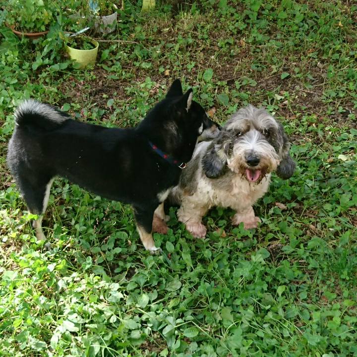 E1b57898 b047 4a5a afff 677454f05237 1538799996856