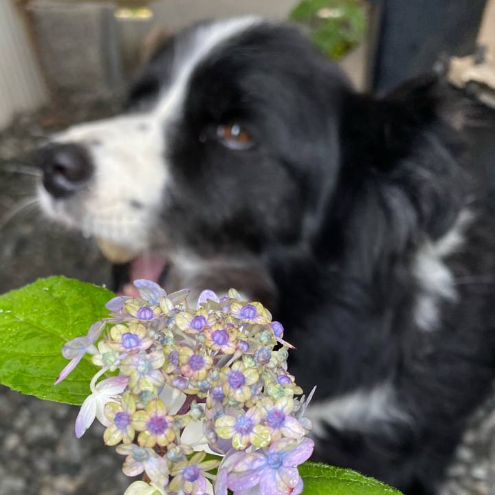 E1b58b88 5b96 4bc8 887a f97ccc6aa5f0 1621038228322