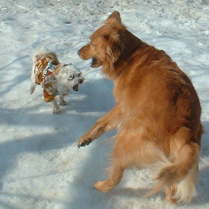 E1b5bc27 f29e 4bf7 bbb9 ebc884ca6a76 1530718094787