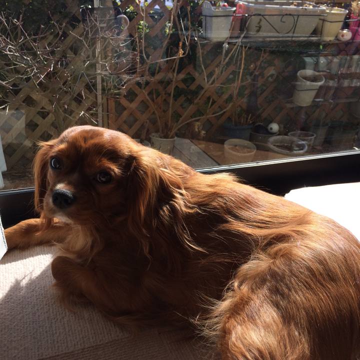 E1b5ccb8 d79a 450d b247 f6fd2a4020d9 1520253976238