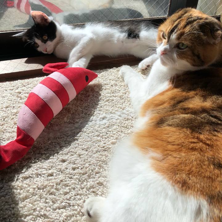 E1b60acd f1fb 47b3 85c0 679b42ccb346 1612491755980