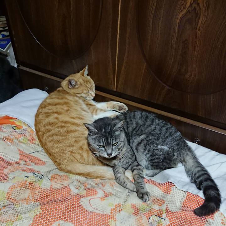 E1b619e1 29e9 4801 b0e5 e6f215c0e6d2 1588420622811