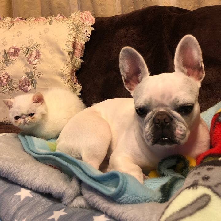 E1b6248e 0048 4c1b 92db 7dc4a4002260 1544262435626