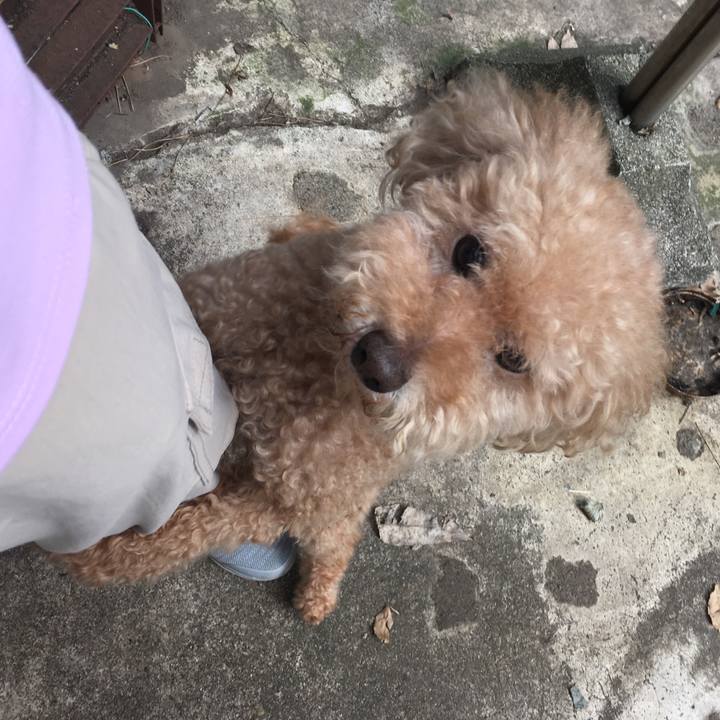 E1b67005 99d6 41f0 91f6 824bd2e967d0 1569924005397