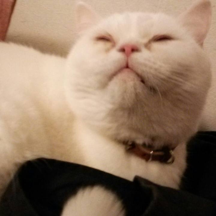 E1b6a742 79d5 4913 ad4c 2be4dca5b1fc 1520602155180