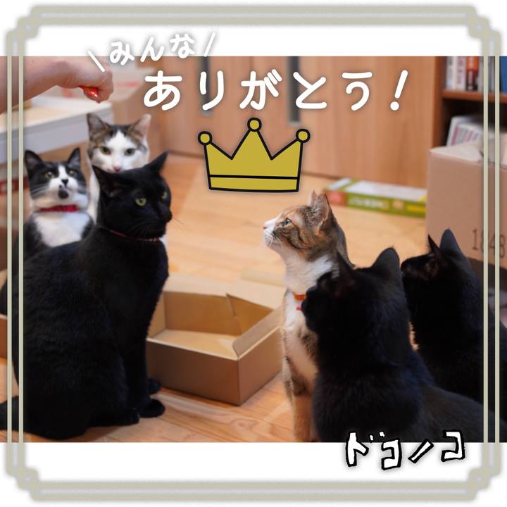 E1b6b54f 1042 4b01 8460 69b185471560 1622987681448