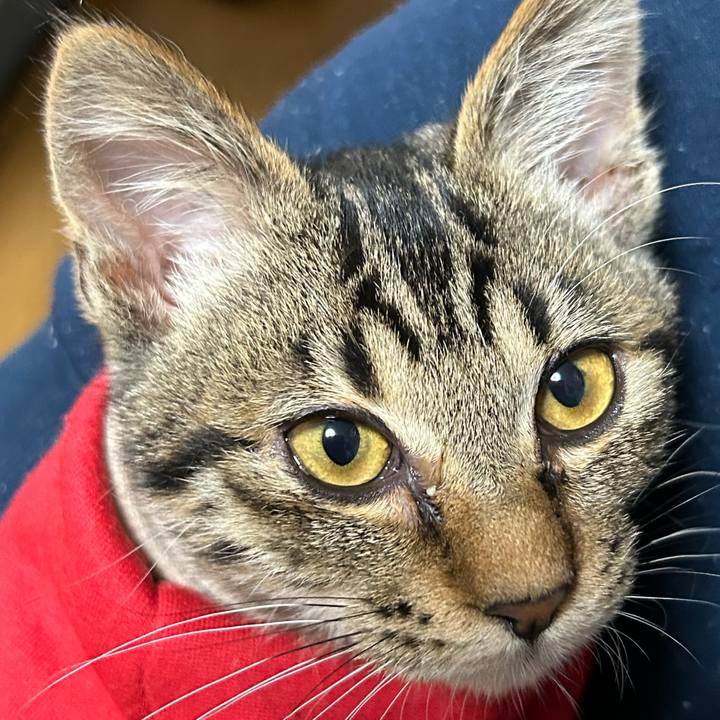 E1b6b86a 8c3e 4948 aac9 a636462136a4 1730281393597