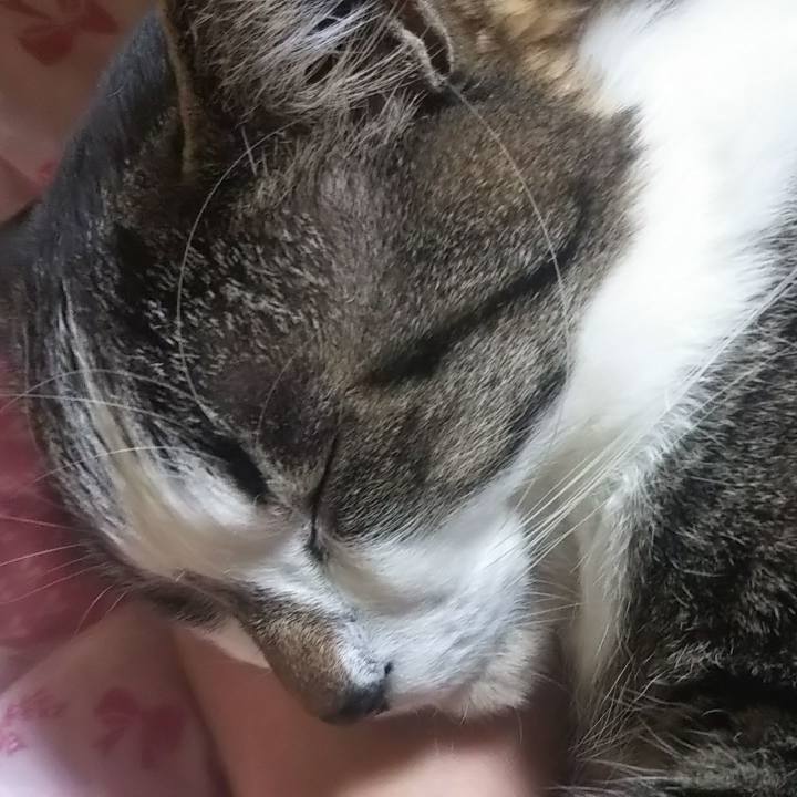 E1b6edf8 20b4 4290 a51d bc0330ebe97c 1613732322739