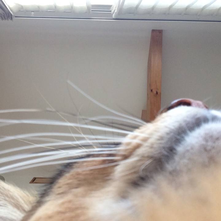 E1b6fdec d1cb 4b27 8a6e ab3ab389be7d 1584402085955