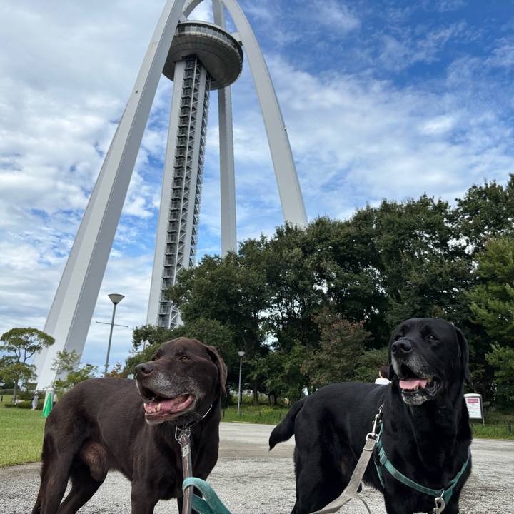 E1b6fdf9 06a5 44a3 86ab b26b2a91fd6f 1760964534555