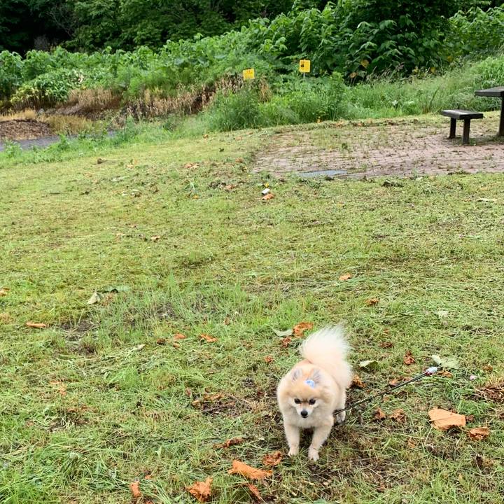 E1b7220f ac85 4688 a4bc e2fc2beaef6a 1593383610537