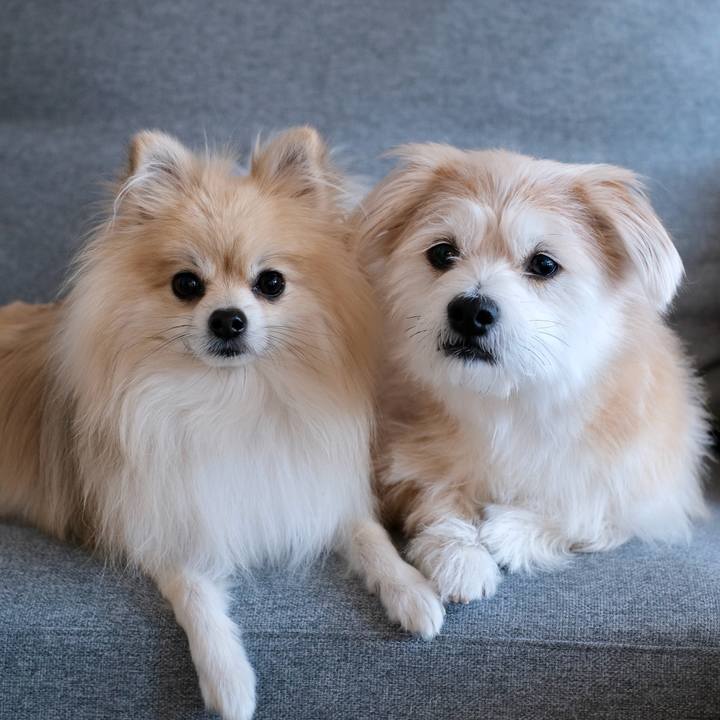 E1b8101e 1591 4f2d b5d7 b2f01cf6ac3b 1762899701873