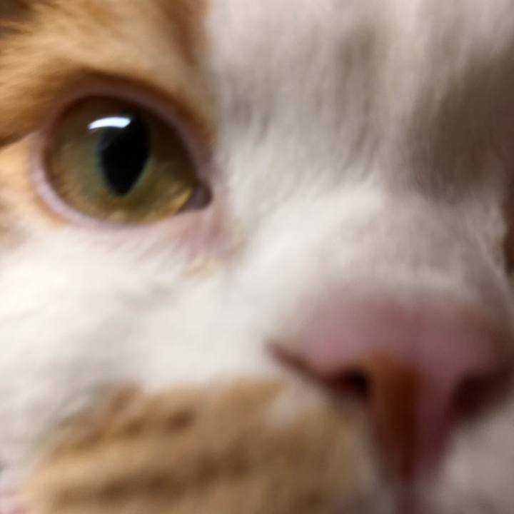 E1b811c7 f1d0 4a0d 9ef8 7677e0fcc76c 1576016724453