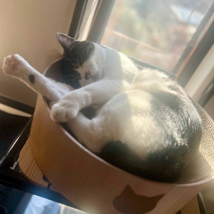 E1b88dc6 966b 406e 996d 9d26c63503a0 1764946495217