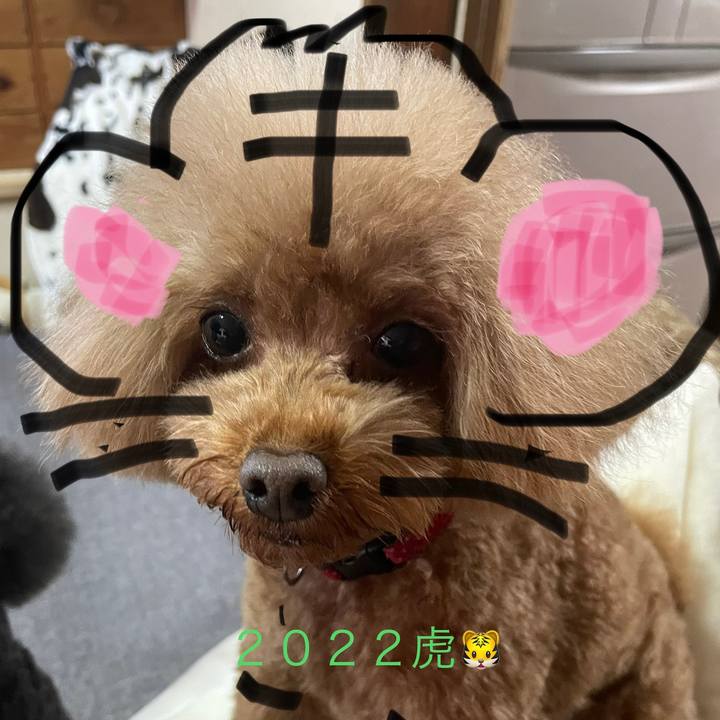 E1b8e2a9 0ea7 4a0a 98ca 20d42cf4b38d 1641187825340