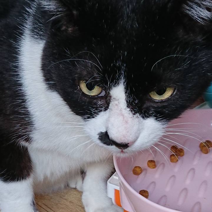 E1b8e88c 61e9 44e9 9303 1af032fea197 1542685412815