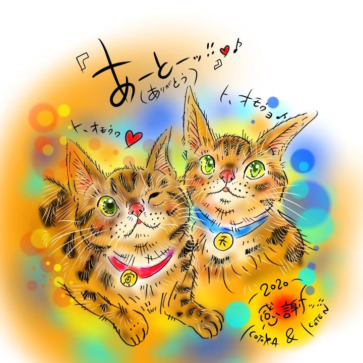 E1b91c49 4d76 49b6 8b74 c6bf8a4c34c3 1609430683343