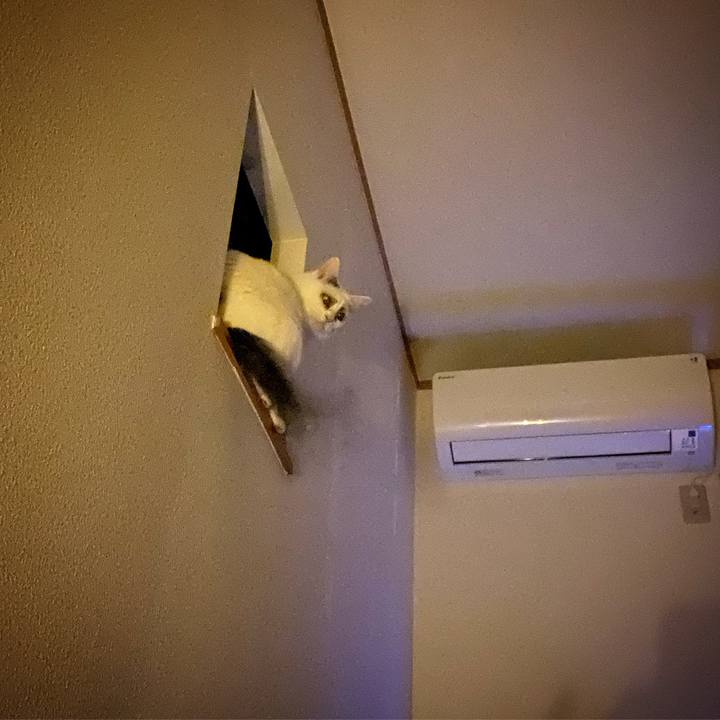 E1b957b3 0156 468c 92d0 b0d2c80b7427 1580315033800