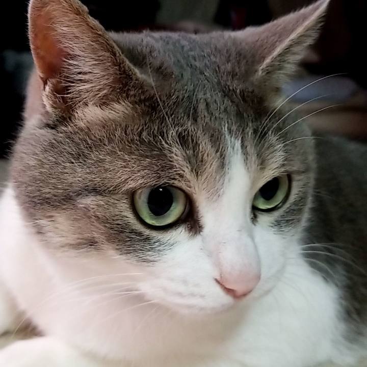 E1b9964f 64cc 4e6a ad63 8e6f1286c114 1626617156543