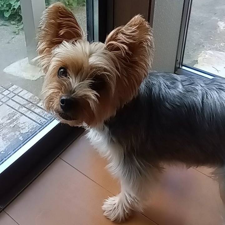 E1b99e12 e7b9 4781 afcb fd8dbb95003b 1722244556125