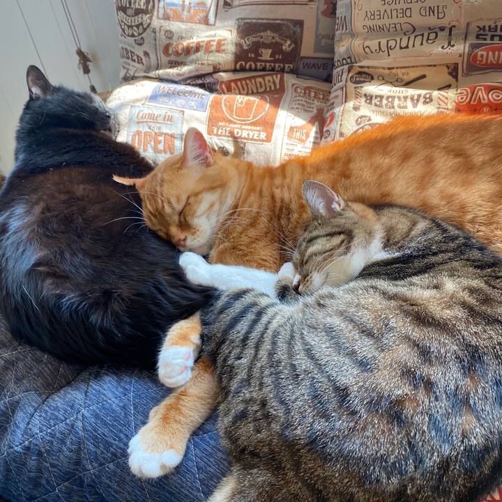 E1b9a79b bd65 401a 817f 71f8ca54d905 1585979122337