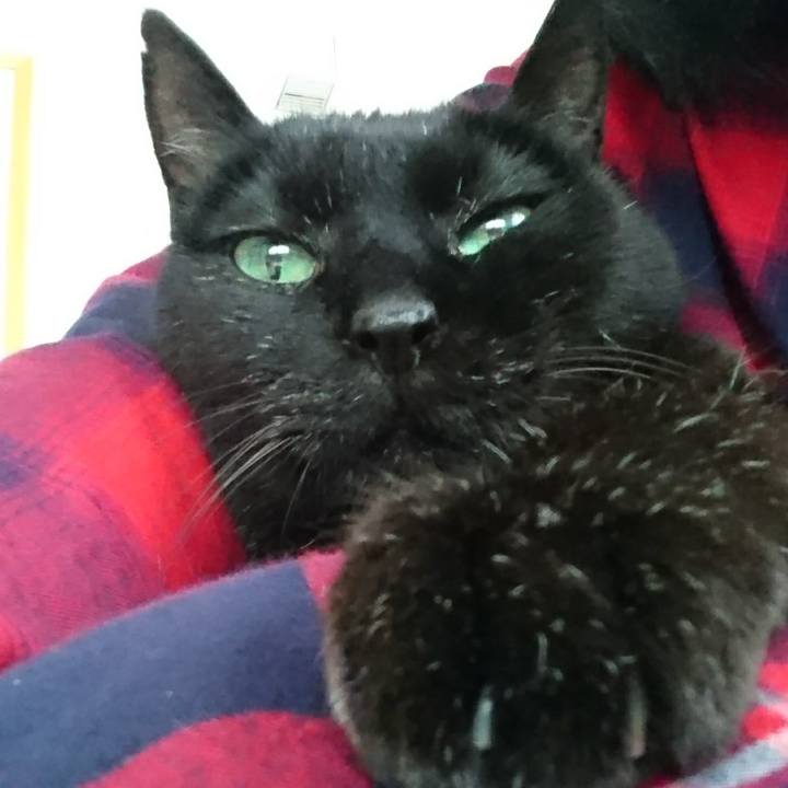 E1b9aecb 5407 4a36 b4ad c21a0ebdd551 1547028482061