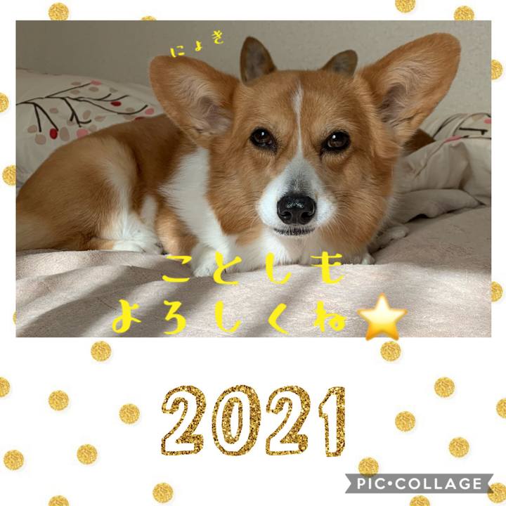 E1b9ca8e 0847 4378 b1fe 7199735ec927 1609483997688