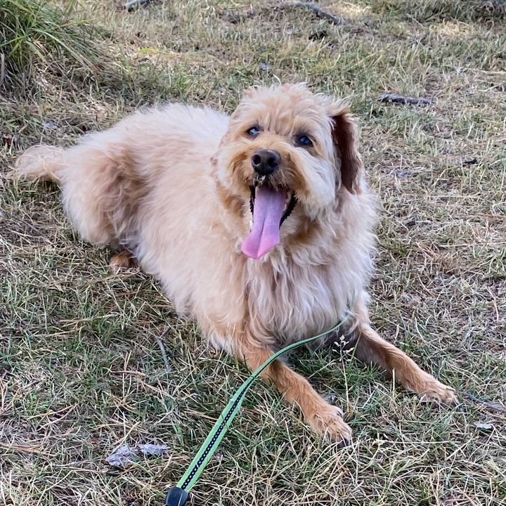 E1ba135e aa91 4387 ab3d fde0fff62e3b 1626915153580