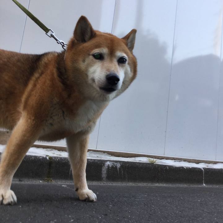 E1ba1596 c747 45bc b816 7432e1f8a3b2 1623228255713