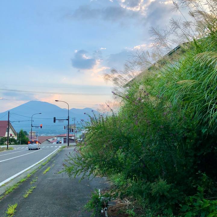 E1ba1ba2 b38c 4850 8fdb b0219aab9c33 1598437679782