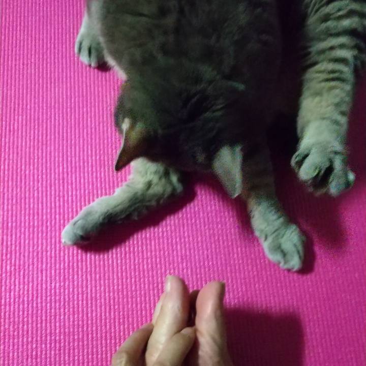 E1ba4a09 b08a 44f9 a878 083ba27838cf 1603448176005